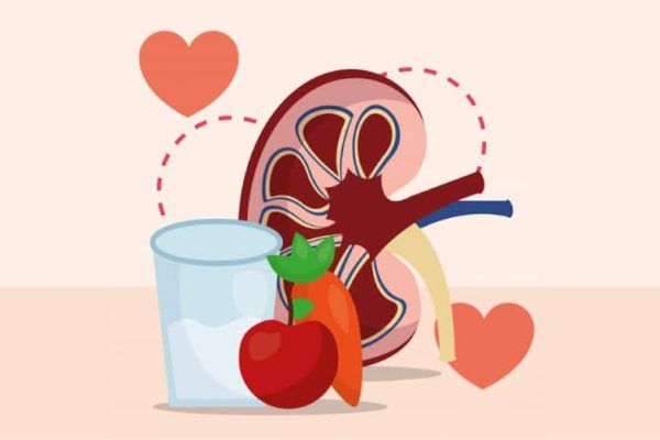 10 Asupan Nutrisi Penting untuk Mendukung Ginjal