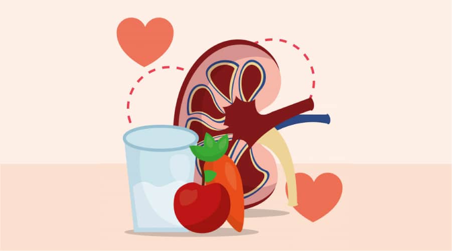 10 Asupan Nutrisi Penting untuk Mendukung Ginjal